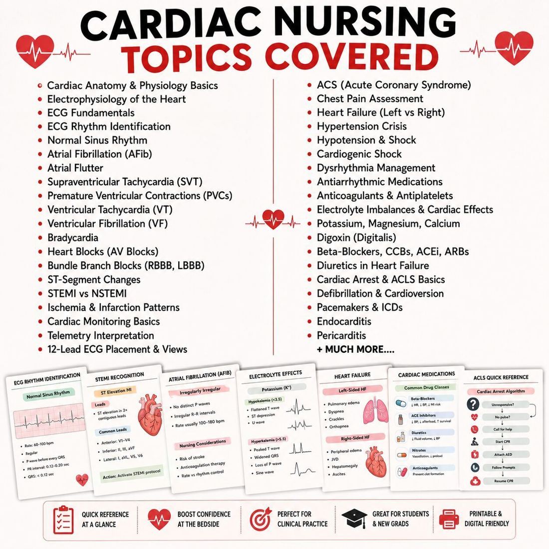 Cardiac Nurse Master Bundle cover 2